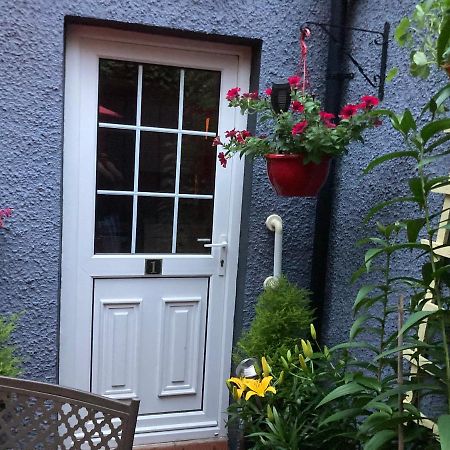 Mountroyal Victorian Studio Self Catering Apartment 3 Белфаст Экстерьер фото